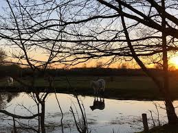 We did not find results for: Nederweert24 Gespot Vanavond 04 04 2020 Een Prachtige Facebook