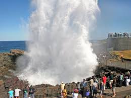 Kiama Blowhole Kiama Australian Travel Places To See