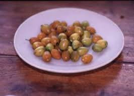 Image result for Berchemia discolor