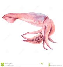 Kalmar solutions set the benchmark for energy efficiency, reliability and lifetime value. Kalmar Mit Tentakeln Getrennt Auf Weissem Hintergrund Dekoratives Bild Einer Flugwesenschwalbe Ein Blatt Papier In Seinem Schnabel Stock Abbildung Illustration Von Schnell Wirbellos 89951593