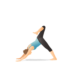 Yoga Pose Downward Facing Dog With Stacked Hips Combinacao De Roupas Wallpaper Fisio