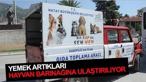 Yemek Artiklari Hayvan Barinagina Ulastiriliyor Haberi Hatayvatan Com Hatay Haberleri