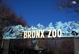 Pin By Vcp Icerink On Places The Bobaair Will See Visiting Nyc The Bronx New York Bronx Zoo