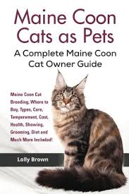 Maine Coon Cats As Pets Maine Coon Cat Breeding Where To Buy Types Care Temperament Cost Health Showing Buy Online In Pakistan At Desertcart Pk Productid 34175912
