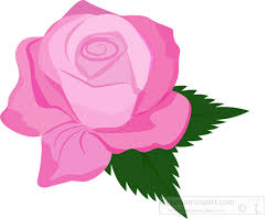 Choose from 130000+ pink graphic resources and download in the form of png, eps, ai or psd. Flowers Clipart Pink Rose Open Bloom With Green Leaf Clipart 2 Classroom Clipart