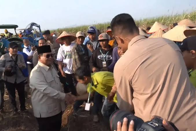 Panen Raya Tebu Malang, Prabowo Temui Petani dan Dorong Swasembada - TIMES Indonesia