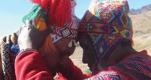 Image result for Manostachya