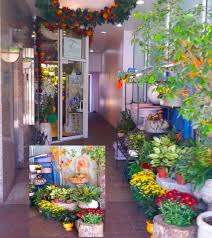 Maybe you would like to learn more about one of these? About Us Flowers Of Worth Avenue Palm Beach Fl
