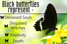Black And White Butterfly Spiritual Meaning Get To Know The Symbolism And Meaning Of A Black Butterfly Butterfly Meaning Butterfly Symbolism Black Butterfly