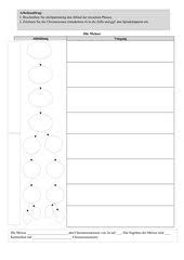 Arbeitsblatt Meiose 4teachers De