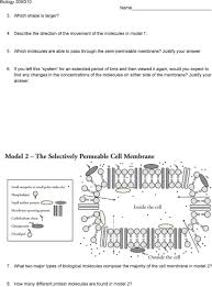 Neuron function 5chapter 4 â€ membrane structure key pdf chapter 8 membrane structure and function cells: Cell Transport And Plasma Membrane Structure Pdf Free Download