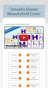 Some of the worksheets displayed are dihybrid cross work answer, work monohybrid crosses, punnett squares dihybrid crosses, practice with monohybrid punnett squares, punnett squares answer key, genetics work, amoeba sisters video recap monohybrid crosses mendelian, dihybrid. Amoeba Sisters Monohybrid Cross Interactive Worksheet By Rebecca Giannetti Wizer Me