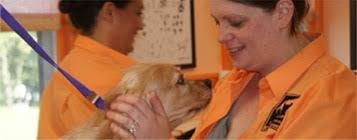 Pet grooming schools listings near me. Schools Petgroomer Com