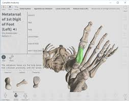 We are the creators of complete anatomy, the world's most advanced 3d anatomy. Windows 10 Complete Anatomy App Is A Worthy Download