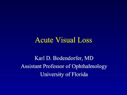 Image result for Acute Vision Loss
