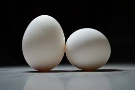 Maybe you would like to learn more about one of these? Peneliti Jepang Tumbuhkan Obat Dalam Telur Ayam Antara News