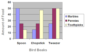 Choosing Your Food Wisely Science Netlinks