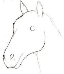 Hier Erkennen Sie Selber Wie Kann Man Ein Pferd Realistisch Zeichnen Schritt Fur Schritt Zeichnen Wir Es Realistisch Zeichnen Malen Und Zeichnen Tiere Malen