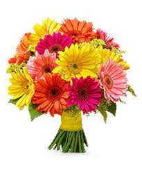 Clubhouse users can't just send an invite to anyone who wants to join, however. Free Virtual Flowers Flora2000 Com