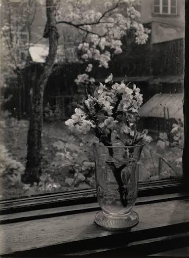 The Window of My Studio | All Works | The MFAH Collections