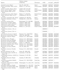 Image result for Antherotoma naudinii