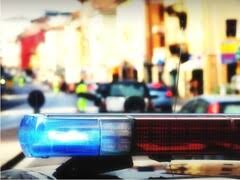 Prin clic pe butonul da, accept accepţi utilizarea modulelor cookie. Politia Locala