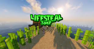 Add your server's ip address to our top, it's free. Minecraft Lifesteal Smp 1 17 1 Cracked Minecraft Server