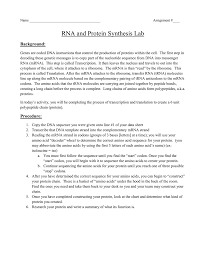 Dna replication & protein synthesis this isn t a baaaaaaaddd chapter!!! How Is Dna Synthesized In A Lab