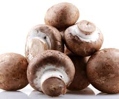 قال رسول الله صلى الله عليه وسلم : ÙÙˆØ§Ø¦Ø¯ Ø£Ù†ÙˆØ§Ø¹ Ø§Ù„ÙØ·Ø± Ø§Ù„Ù…Ø®ØªÙ„ÙØ© Ø§Ù„Ù…Ø±Ø³Ø§Ù„