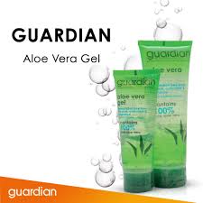 Aloe vera plant has been used for various purposes since the ancient egyptians called it 'the plant of immortality'. Sudah Sejak Lama Dipercaya Mampu Mengembalikan Kelembaban Kulit Kini Guardian Aloe Vera Tersedia Di Guardian Indone Guardian Indonesia Scoopnest