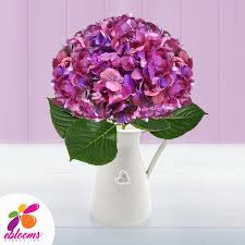 Rose, purple carnation, bell flower, succulent, eucalyptus, agonis, brunia. Wholesale Flowers Wedding Flowers Bulk Flowers Flower Delivery Online Tagged Purple Eblooms Farm Direct Inc