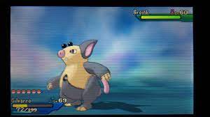 Serebii.net grumpig pokédex hub for all pokémon data for all games, anime, movies and trading cards Tiger On Twitter Shiny Groink Im Zweiten Wurmloch Heute Sakagasm Shunten Thesakatis Schnuhz