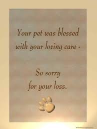 My heart goes out to you. Pet Loss Card