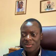 The Adeagbo and McGuire family traditional engagement wedding in Dallas Tx