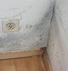 Updated on november 6, 2017 by admin leave a comment. Schimmel In Der Ecke An Der Aussenwand Oder Zimmerdecke
