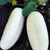 To use cucumbers as an eye treatment, take a cold cucumber from the refrigerator and cut two thick slices, and set the cucumbers over your closed pour the cucumber puree through a sieve into a glass bowl. Https Encrypted Tbn0 Gstatic Com Images Q Tbn And9gct R75k8jra3ombqgjm60 Icb6ov9jt6tq98zlqi4vm6i63on88 Usqp Cau
