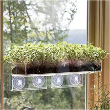 Planter's choice 9 herb window garden, $35. The 7 Best Indoor Herb Gardens Herb Garden Kit Indoor Herb Garden Herbs Indoors