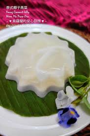 紫羅蘭的爱心厨房 violet s kitchen 泰式椰子燕菜young coconut jelly woon ma praw orn ว นมะพร าว jelly desserts coconut jelly thai dessert