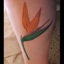 Bird Of Paradise Tattoo Meanings Itattoodesigns Com