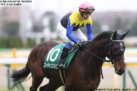 1 definitions matched, 0 related definitions, and 1 example sentences definition of 阪神大震災. é˜ªç¥žå¤§è³žå…¸2021ã®ç«¶é¦¬äºˆæƒ³åˆ†æž 3ã¤ã®ãƒ‡ãƒ¼ã‚¿ã‹ã‚‰å°Žãå±é™ºãªäººæ°—