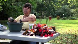 We did not find results for: How To Grow Begonias In Pots Begonias Youtube