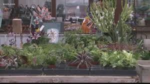 Order and send your gift today! Spokane County Master Gardeners Give Some Tips For Early Spring Gardening Krem Com