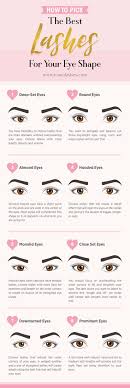 How To Pick The Best Lashes For Your Eye Shape Eyelash Extensions Salons Best Lashes Eyelash Extensions