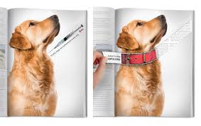 Aspca Dog Collar Ads Of The World Funny Commercial Ads Print Ads Creative Advertising