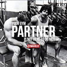 Your Gym Partner Is Not Here To Be Nice Gym Partner Fun Workouts Bodybuilding Quotes