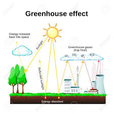 Image Result For The Green House Effect Greenhouse Effect Global Warming Greenhouse