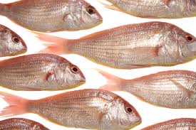 Sultan ibrahim may refer to: How To Cook In Dubai Chef Andy S Blog