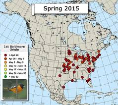 Oriole Migration Map Monarch Butterfly Migration