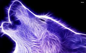 The great collection of light up wallpaper for desktop, laptop and mobiles. Light Up Animal Backgrounds 1920x1200 Wallpaper Teahub Io