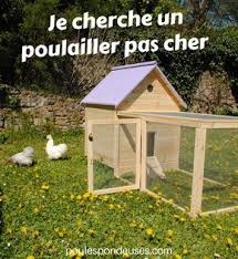 Je Cherche Un Poulailler Pas Cher Guide Pour Elever Des Poules Dans Son Jardin Poulailler Poulailler Design Construire Un Poulailler